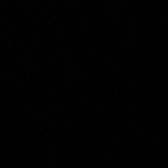 Meet your Posher, Patty - Picture 1 of 1